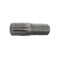 BSM230100-CK_00_W
