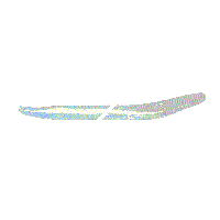 12970_21101938394