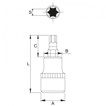 JTC Бита-головка 3/8" TORX T45х48 мм 
